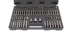 JOGO BITS 10MM  75PCS (6145)