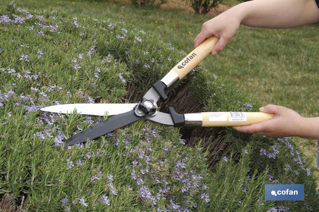 CORTA SEBES PROFISSIONAL