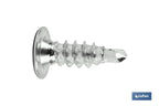 Parafuso Autoperfurante Cabeça extra-plana Phillips INOX