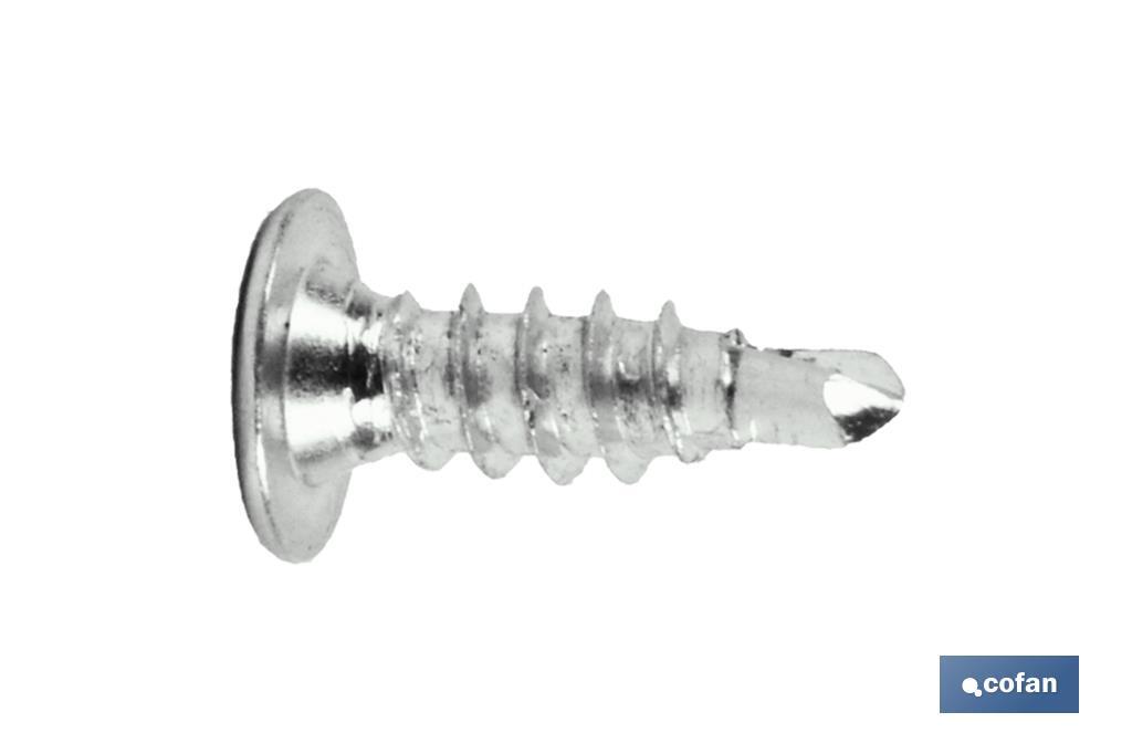 Parafuso Autoperfurante Cabeça extra-plana Phillips INOX