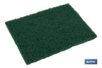 Pack de 4 esfregões verdes